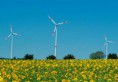 /album/energia-eolica/wind4-jpg/